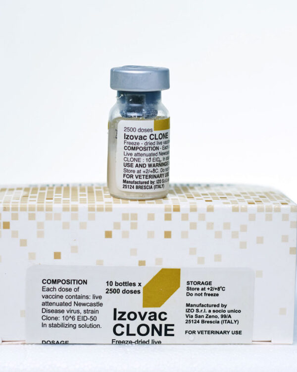 Izovac CLONE