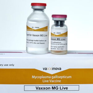 Vaxxon MG Live