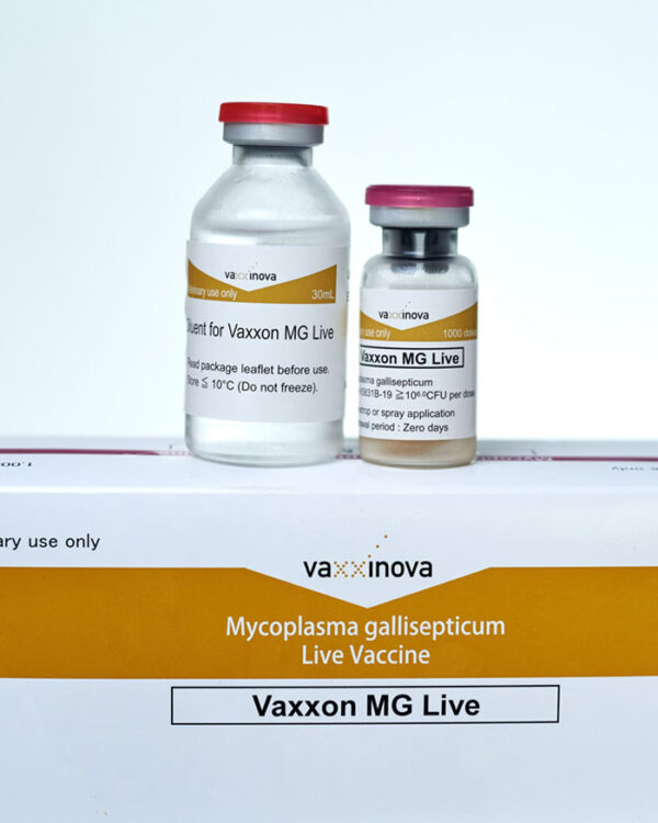 Vaxxon MG Live